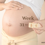 31st to 34th Weeks of Pregnancy