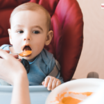 Baby Nutrition What to Feed Your 1-Year-Old