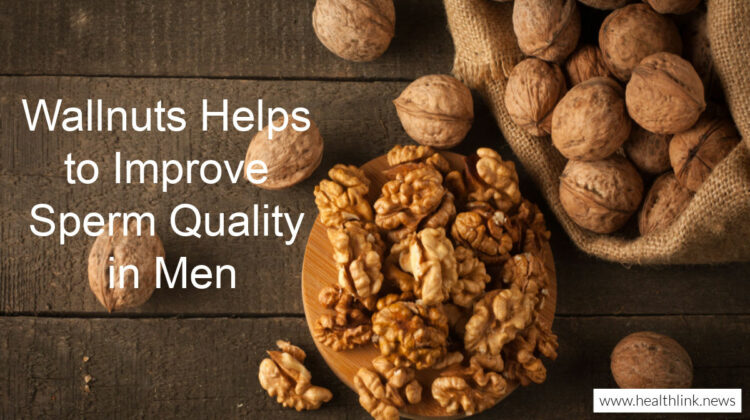 Walnuts help to sperm quality in men