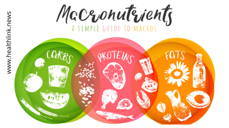 Everything You Need to Know About Macronutrients