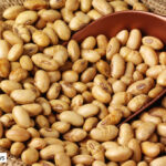 The Benefits of Soy Nuts and Why You Should Eat Them
