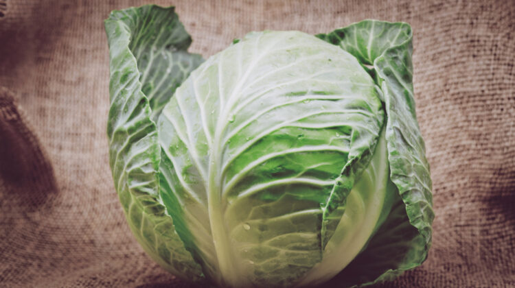 Green Cabbage: Health Benefits and Nutrition Facts