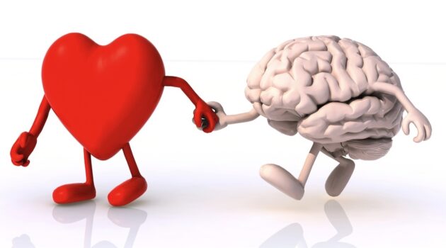 Improving Heart Health Is Also Good For Your Brain