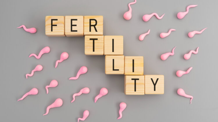 Inflammation And Its Impact On Your Fertility