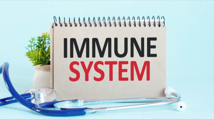 7 Tips to Improve Your Immunity System