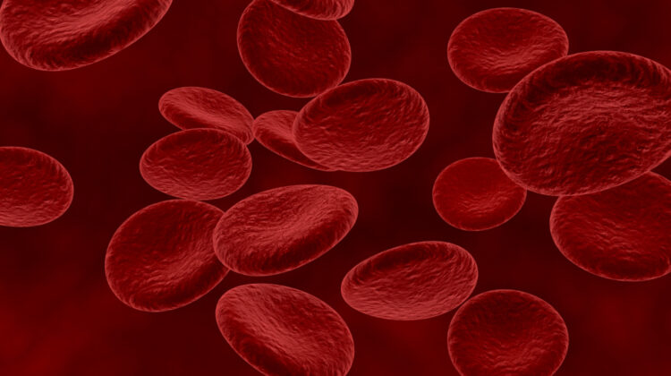 How to Increase Hemoglobin Levels Without Any Medicine