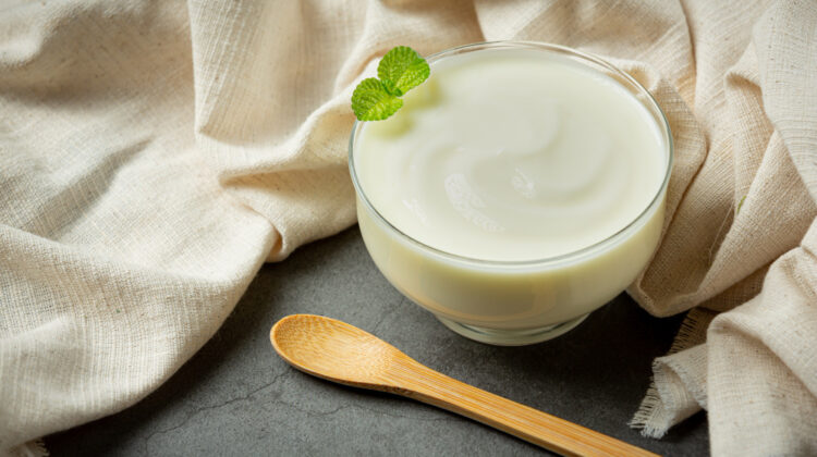 How is Yogurt Manufactured and What are its Benefits