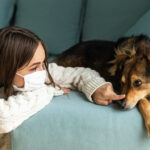 Canine Influenza How Does the Virus Spread Fast in Dogs